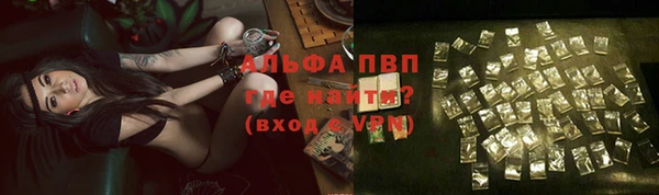 прущие грибы Нижний Тагил