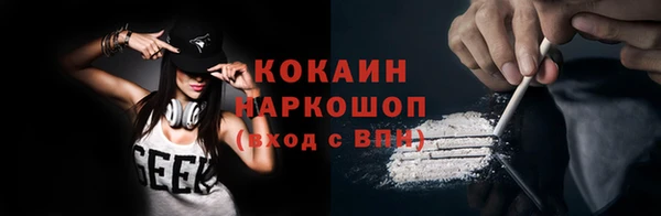 PSILOCYBIN Козловка