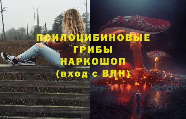 твердый Медногорск